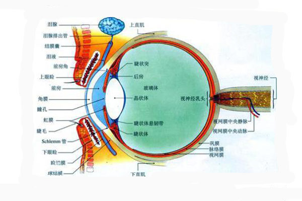 顏色是怎么被人眼感知的？顏色怎么表示與復(fù)現(xiàn)？